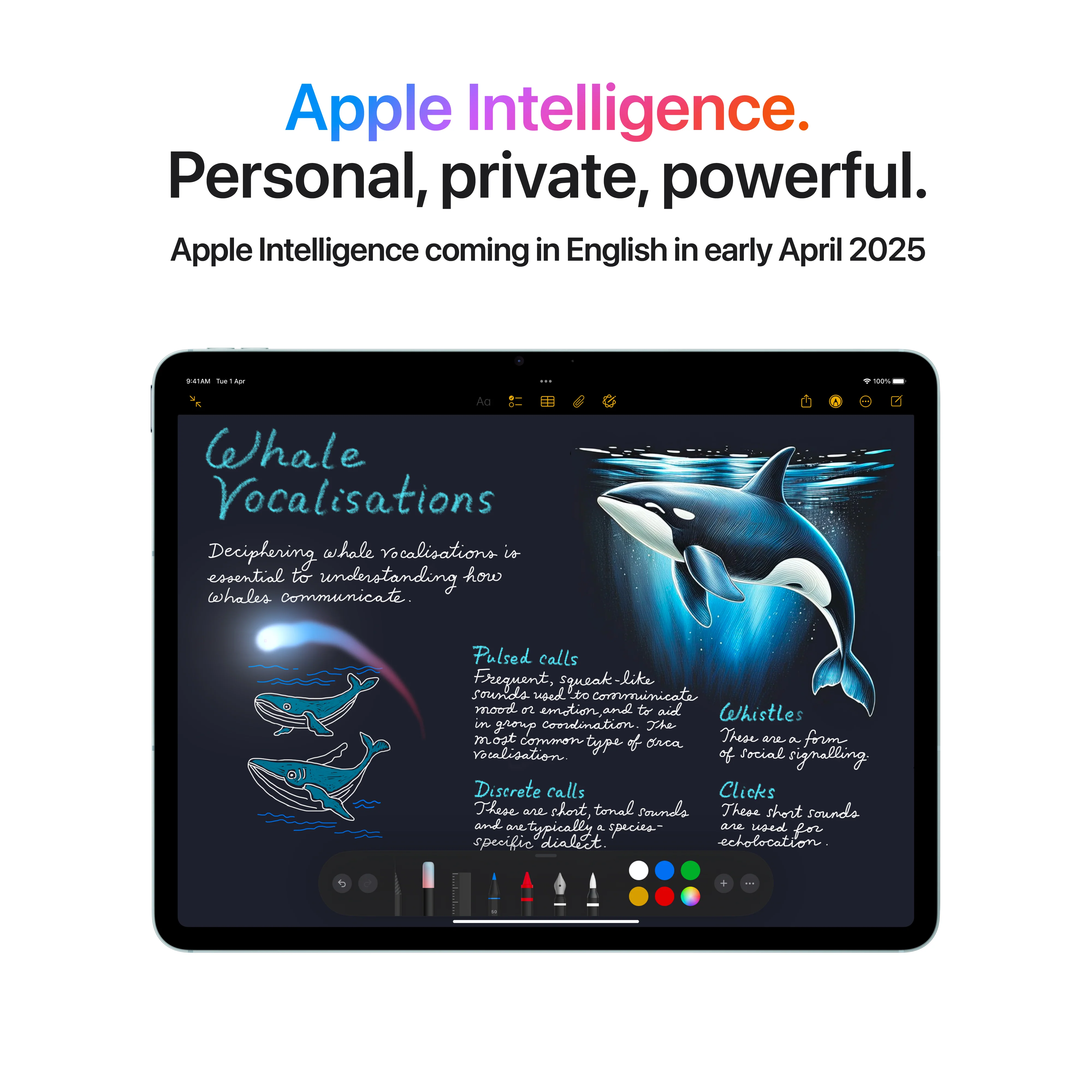 11-inch iPad Air Wi-Fi + Cellular 512GB - Starlight (M3) - Image 5