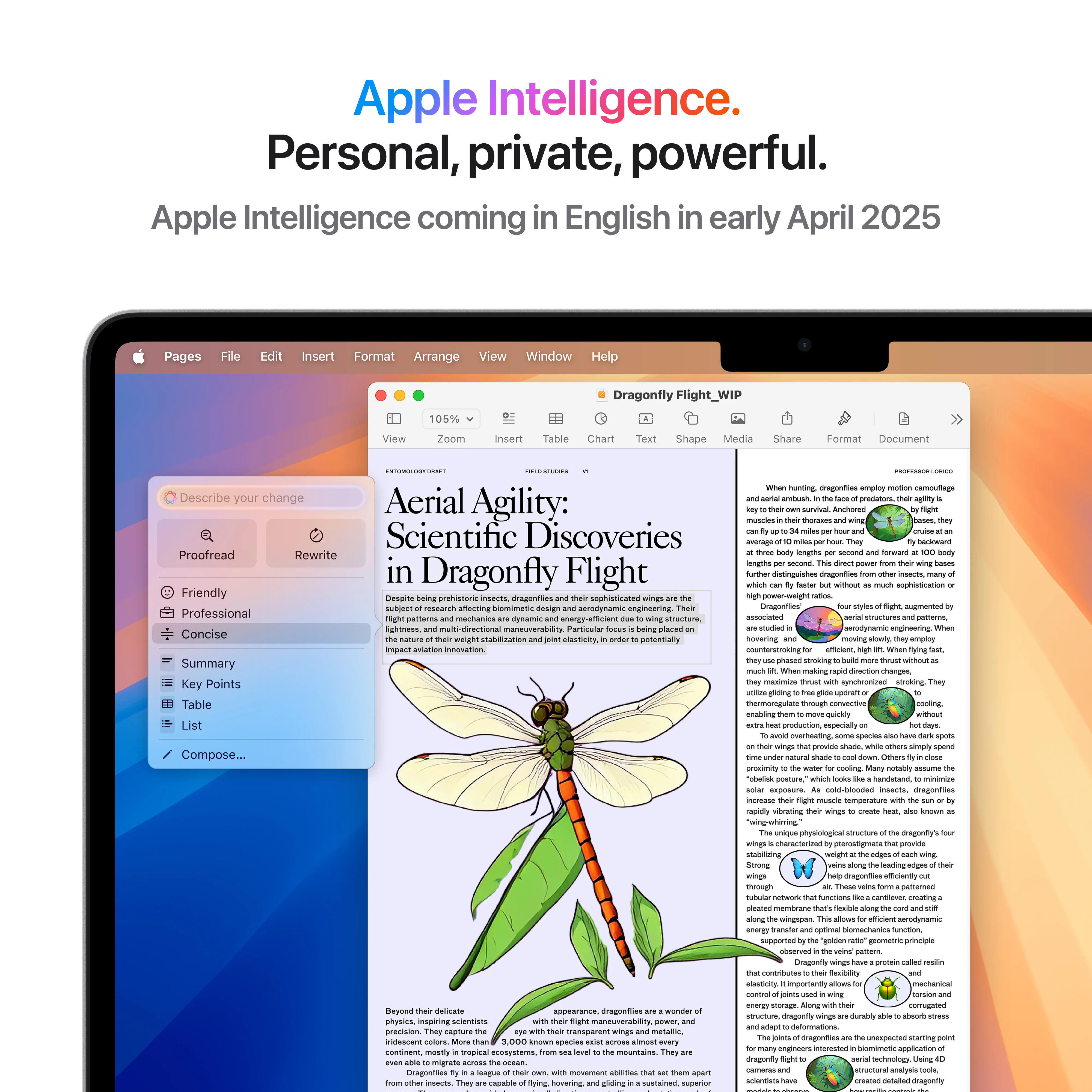 13-inch MacBook Air: Apple M4 chip with 10-core CPU and 10-core GPU, 512GB SSD - Silver - Image 6