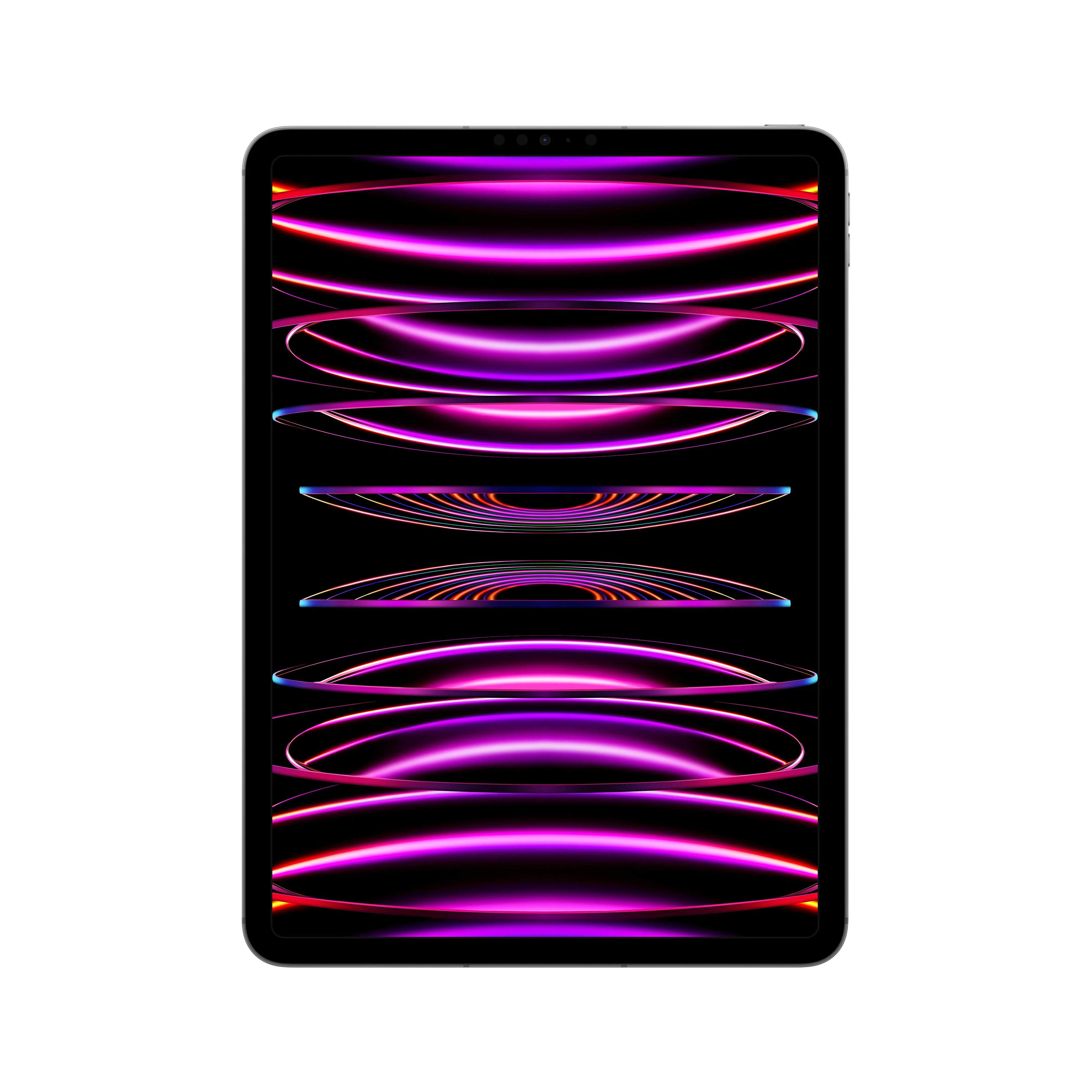 2022 11-inch iPad Pro Wi-Fi + Cellular 2TB - Space Grey (4th generation)